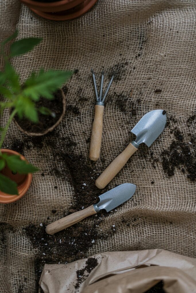 Domestico Labora Jardineria